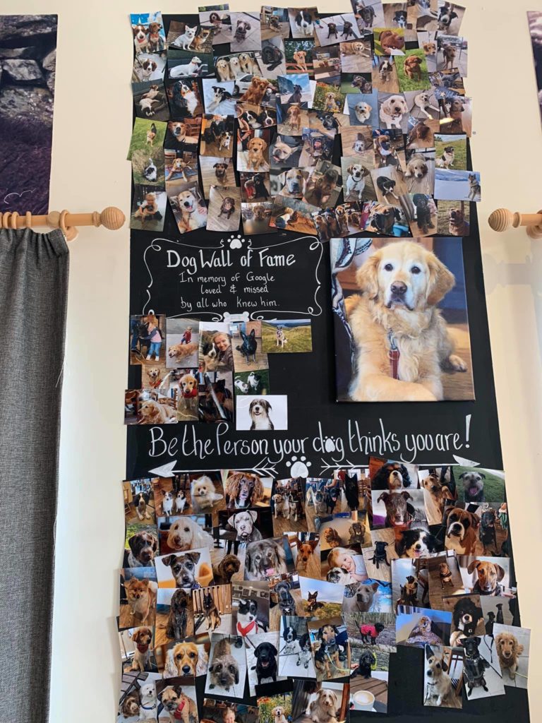 The Dog Wall of Fame. Be the person your dog thinks you are.